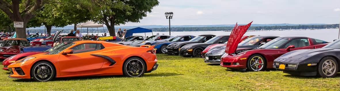Vettes at the Beach