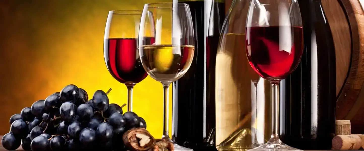 A MID SUMMER NIGHT’S WINE SOCIAL