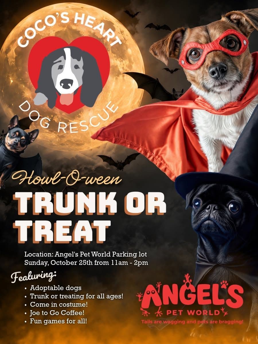 Howl-O-ween Trunk or Treat