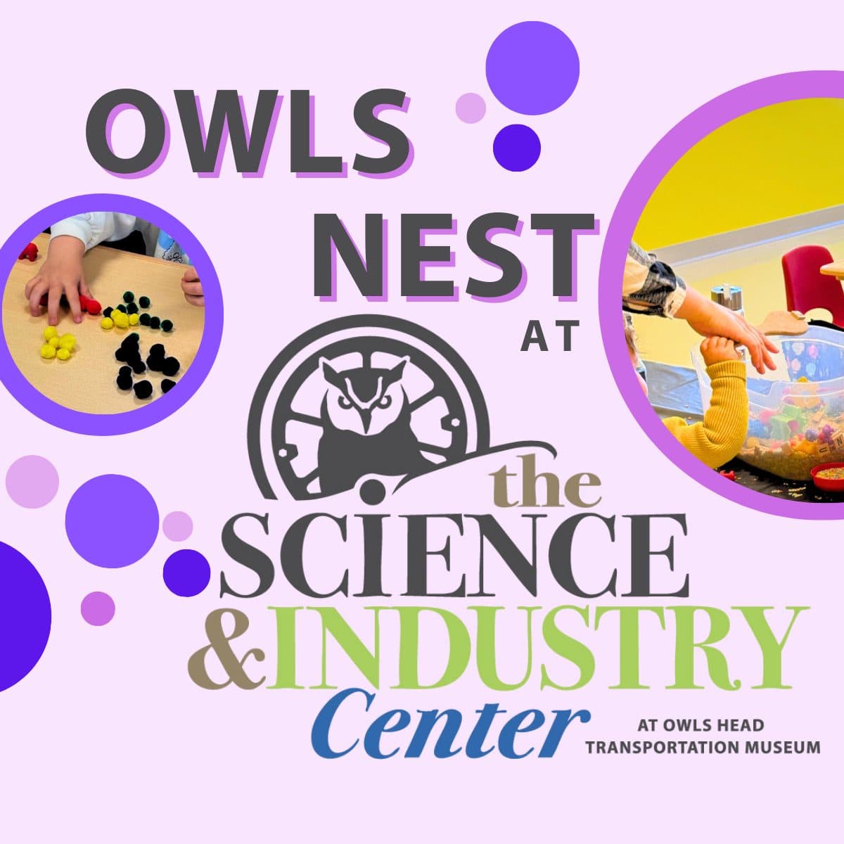 Owls Nest: Apples to Apples