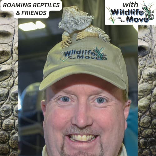 Roaming Reptiles & Friends Trunk or Treat at Highlands-Eldorado Veterinary Hospital