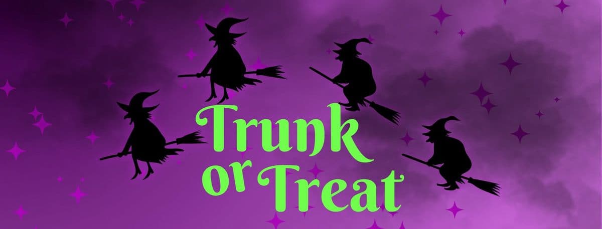 Schaumburg Township Trunk or Treat