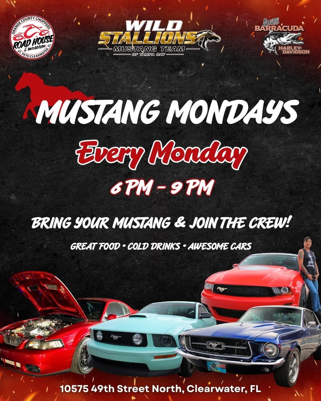 Wild Stallions Mustang Team Mustang Mondays