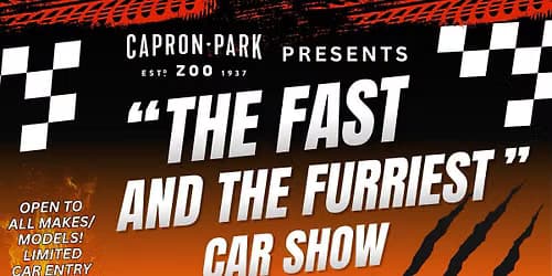 The Fast and the Furriest Car Show