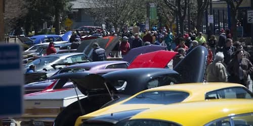 Kensington Car Show