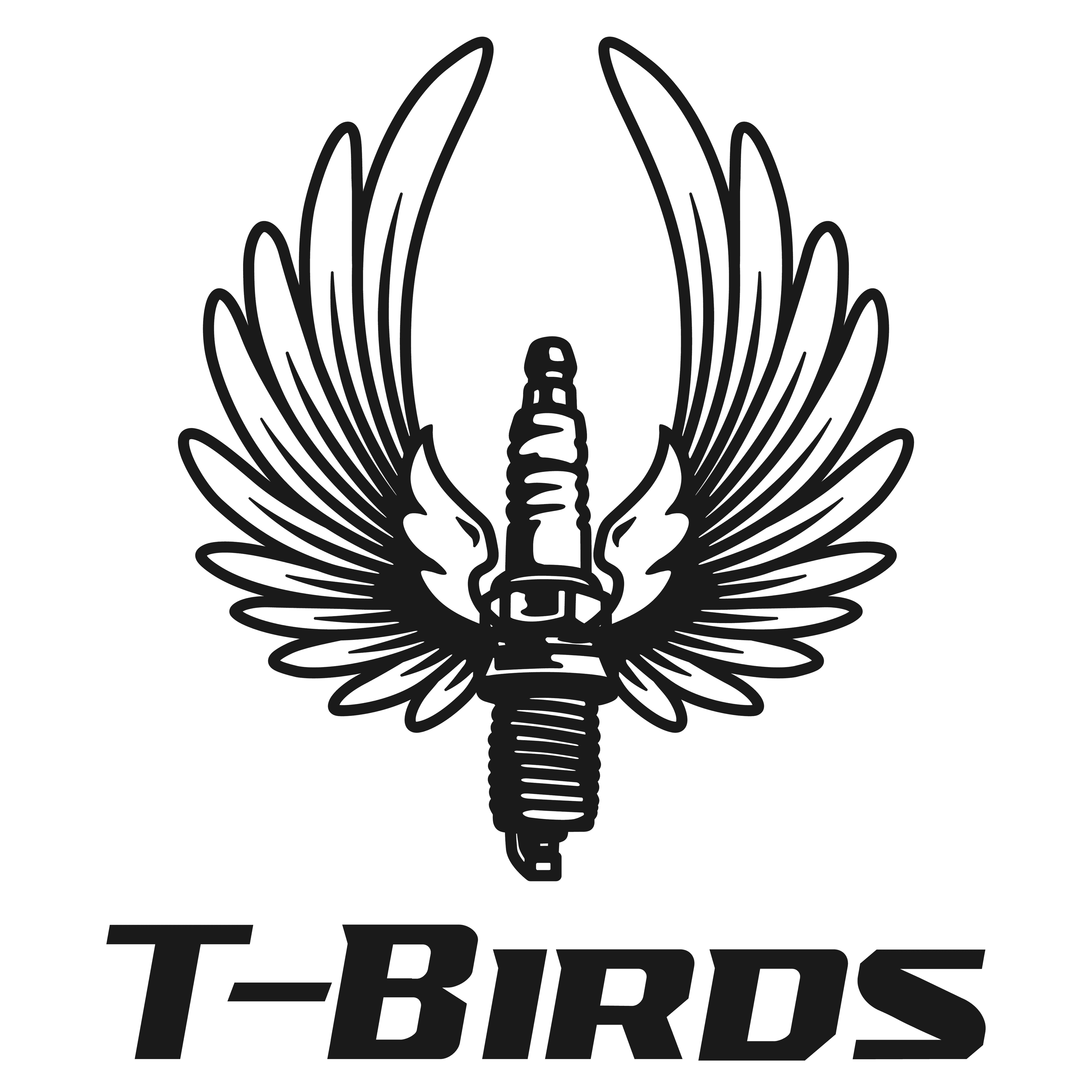 Connecticut Area Classic T-Birds, Inc.