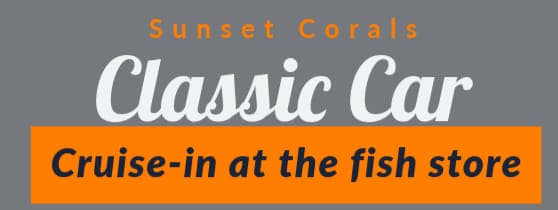 Sunset Corals Cruise In
