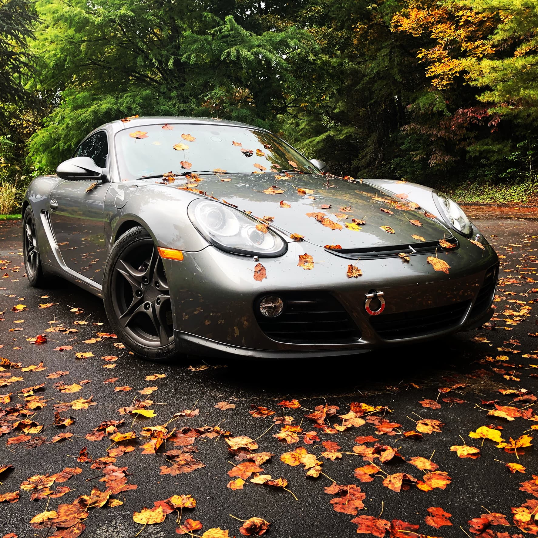2026 Das Herbstfahrt – October 12th