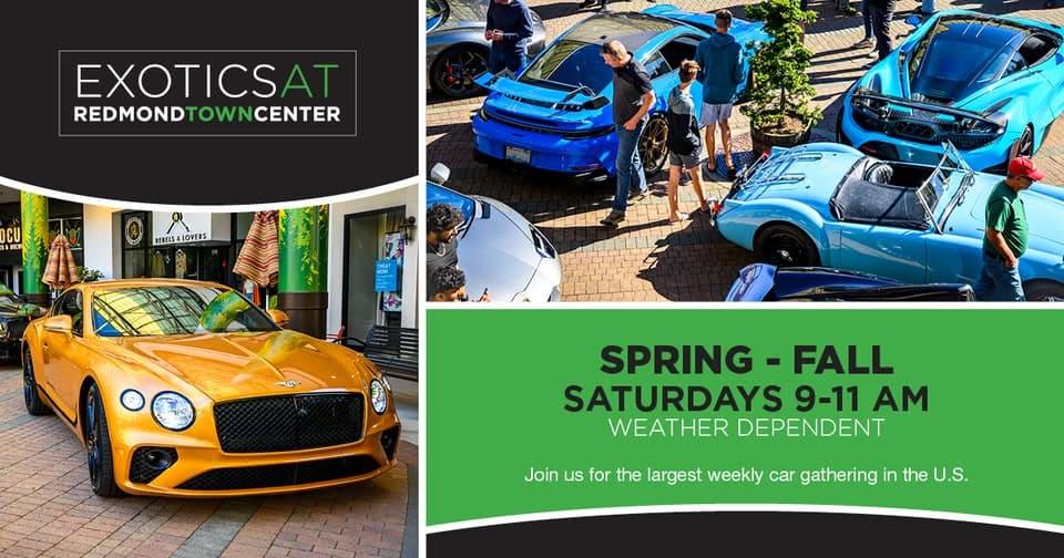 Exotics Car Show