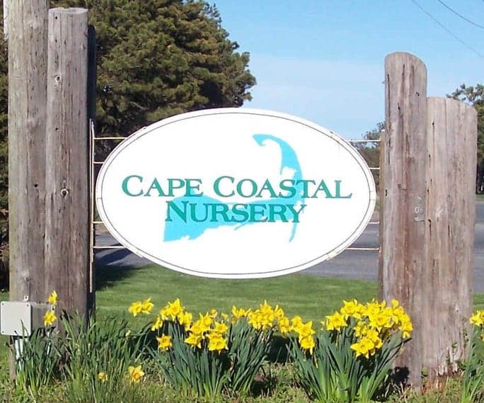Boston Children’s Hospital Fundraiser and Dash Plaque Night — Sponsored by: Cape Coastal Nursery