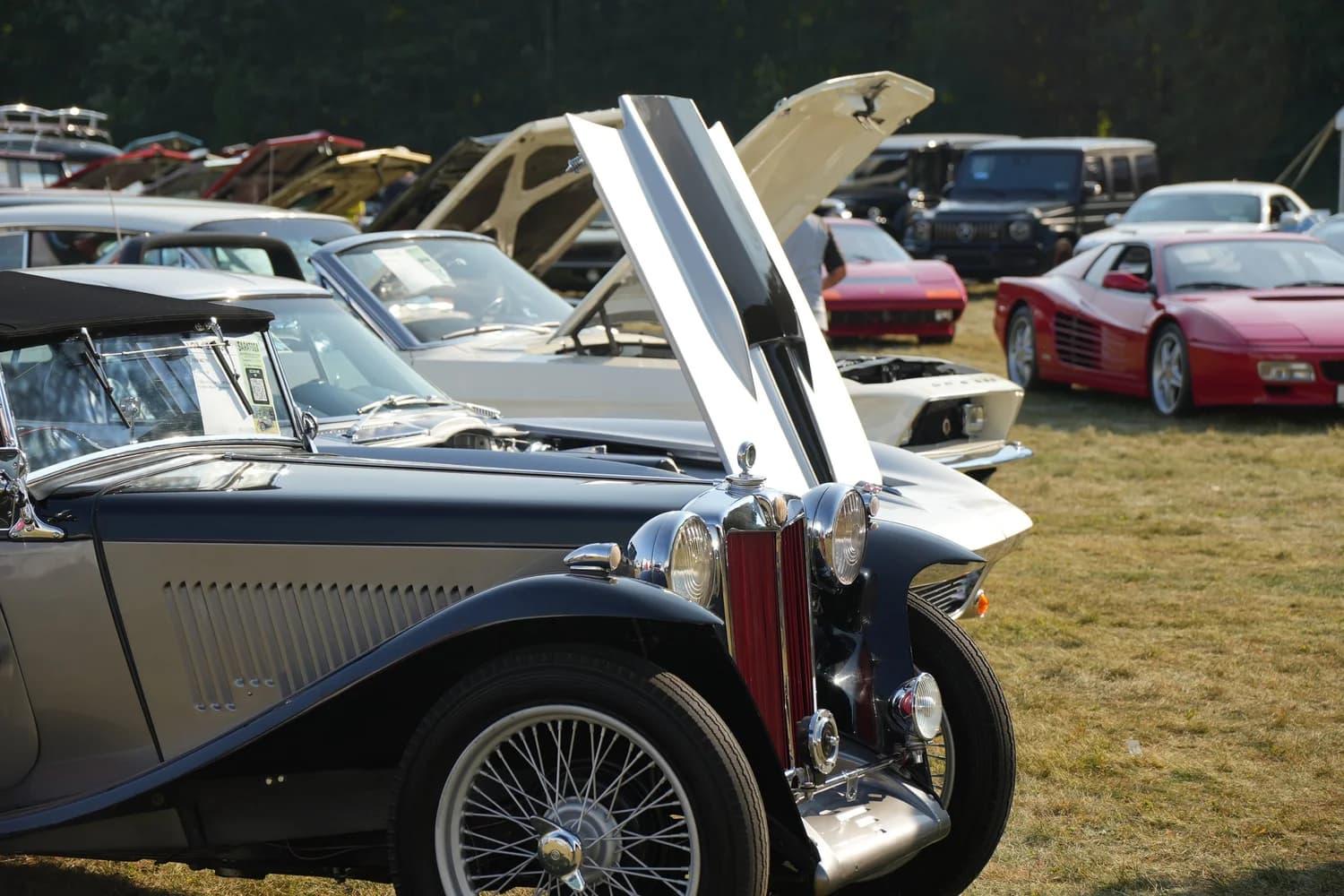 10th Annual Saratoga Motorcar Auction Preview