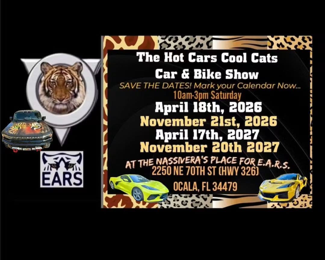 Hot Cars and Cool Cats