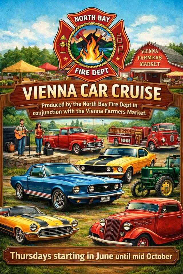 Vienna Car Cruise