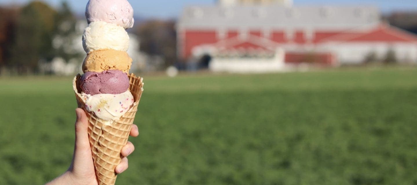 Ice Cream Night